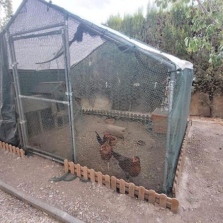 Casita De Invitados En Villa de Otura Kültér fotó